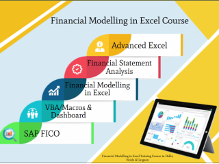 Financial Modelling Course in Delhi.110025. Best Online Live Financial Analyst Training in Srinagar by IIT Faculty