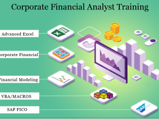 Common Challenges in Financial Modeling with SAP FICO & How to Overcome Them. Get Financial Analyst Course in Delhi, 110017, by SLA Consultants India